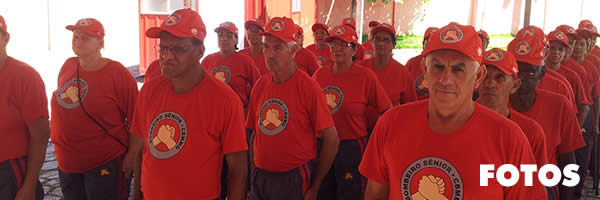 Banner Fotos Bombeiro Mirim e golfinho em Divinópolis